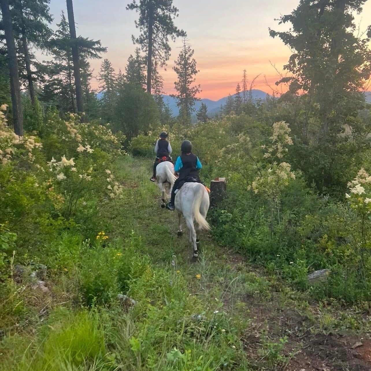 Two horseback riders on forest trail at sunset