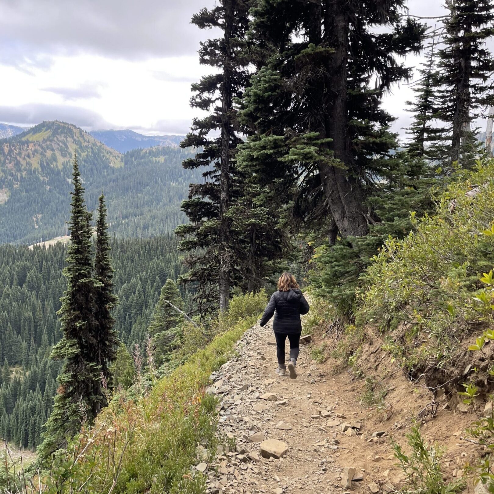 Hiker on rocky mountain forest trail